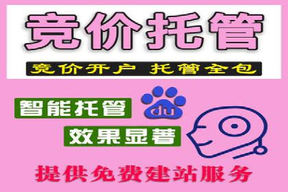 精准投放，高效转化——SEM竞价推广案例分享
